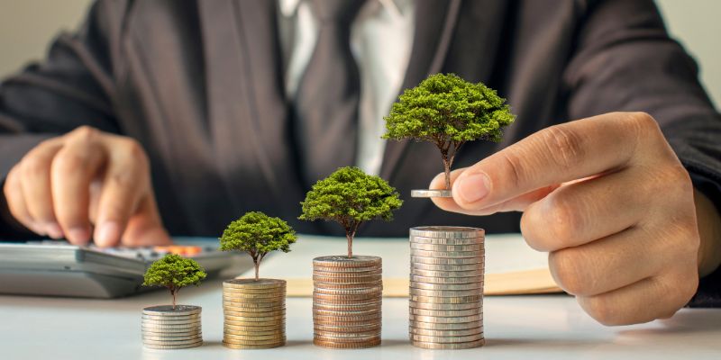 Qual é o seu perfil de risco para investimentos financeiros?
