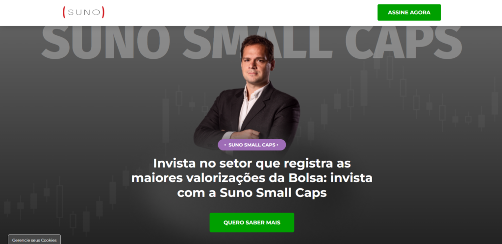 Suno Small Caps Vale a Pena Assinar?