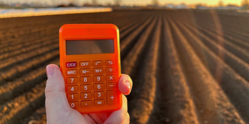 A importância do agronegócio para o Brasil