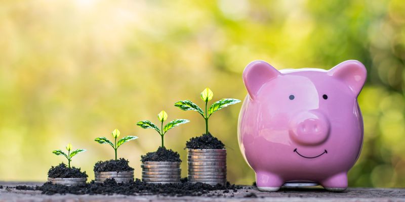 Em quais ativos o SNAG11 investe?