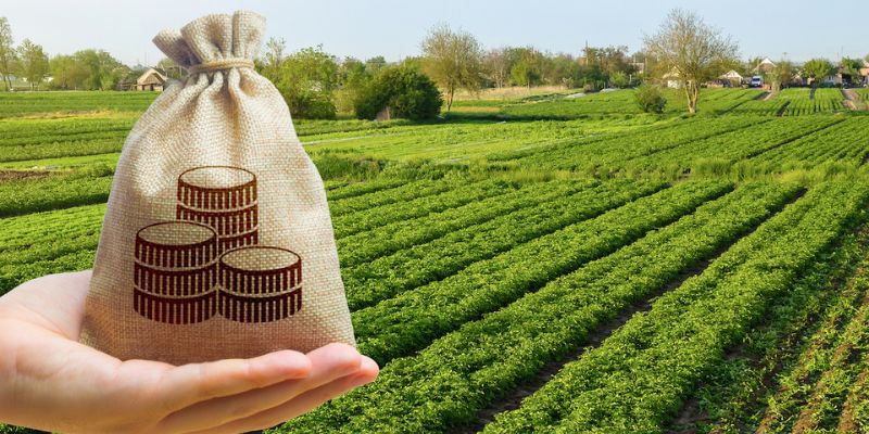 Fiagro: O Que São e Como Funcionam