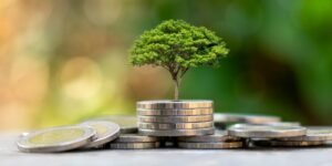 SNAG11: Vale a pena investir em Fiagro