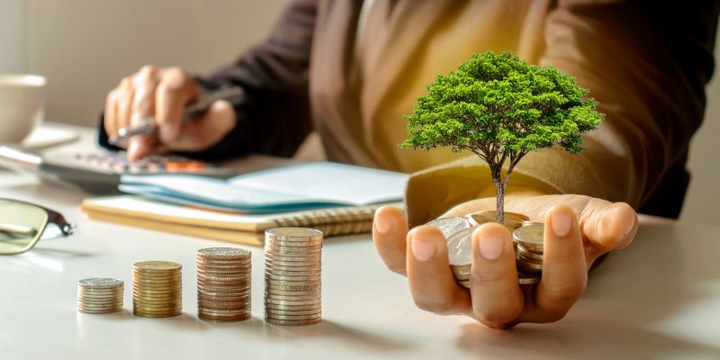 Vale a pena investir no SNAG11?